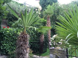 Green Oasis Family Apartments