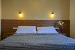Luxury Apartments Villa Tea 