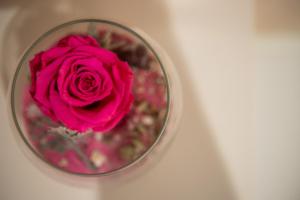 Apartment in the center of Klaipeda Butas Klaipėdos miesto centre