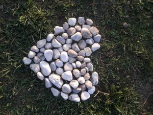 Turistična kmetija Pri Rebkovih