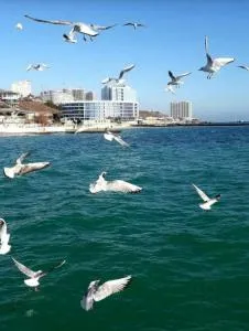 Апартаменты Сантим - Deribasovka