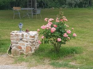 B&B / Chambres d'hotes Le Jardin des Selves : photos des chambres