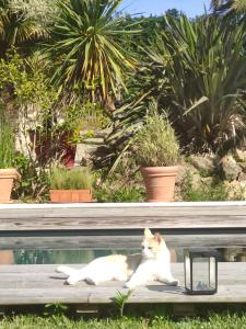 Appartements La petite Hautiere Maison 2 personnes Plouer sur Rance avec piscine : photos des chambres