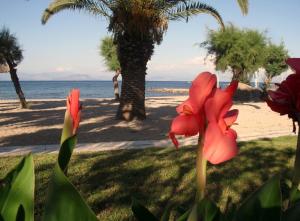 Three Stars Beach Hotel Corfu Greece