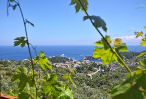 Angel Sunset suite Alonissos Greece