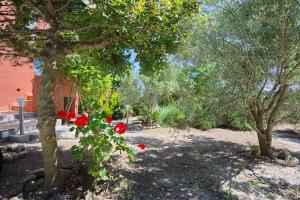 Angel Sunset suite Alonissos Greece