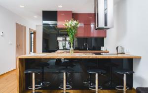 Deluxe Apartment in the Old Town With a Garage 3 min from Main Station