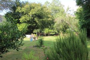 La Ventanita Del Campo