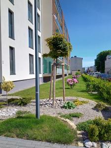 Apartament MXG