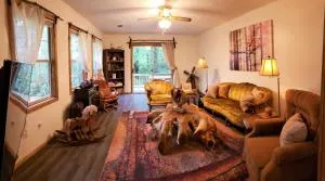 Ridge Retreat at Hearthstone Cabins and Camping - Pet Friendly - Helen
