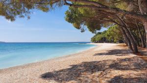 Vita Apartment - 2 bedrooms, 67m2, terrace