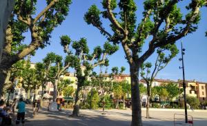Boutique Hôtel La Victoire - Vence centre