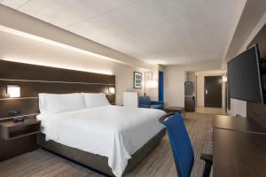 One-Bedroom King Suite with Sofa Bed room in Holiday Inn Express Hotel & Suites Fort Myers East - The Forum an IHG Hotel