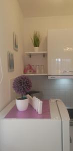 Apartment Rosana 