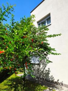 ROOM AND BREAKFAST SAN RAFEL