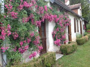 Maisons de vacances Gite O Beauval : photos des chambres