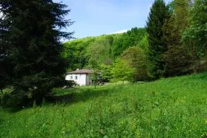 Le Pidro - A family house with private stream and woodland - Rimont