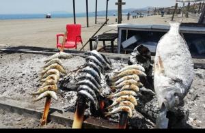 Apartamento Lujo Duna Beach