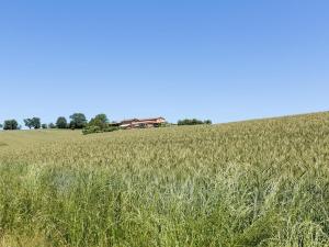 Maisons de vacances Le Puech de Nalbe : photos des chambres