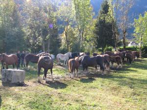 Maisons de vacances Marioutat : photos des chambres