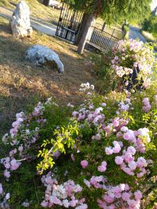 La Locanda dei Cavalieri