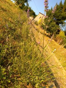 La Locanda dei Cavalieri