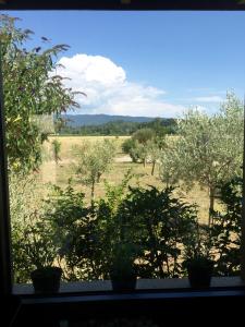 Maisons de vacances Holiday house Mont Ventoux : photos des chambres