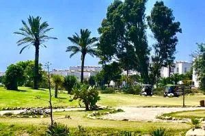 ATICO Costa TOYO - El Alquián