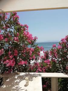 ''Sea front'' Rose's house Tinos Greece