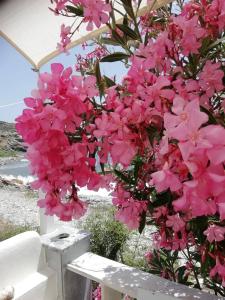 ''Sea front'' Rose's house Tinos Greece