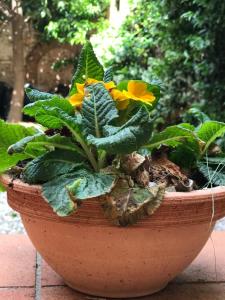Hostly - Garden House near the Tower - Historical house with Private Garden