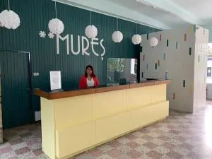 Hotel Mures - 多亚马伊