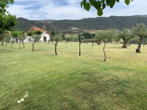 Quinta Sta Luzia Carrascal