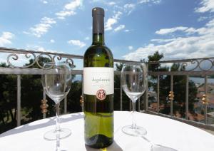 SEA VIEW Apartments Antonela