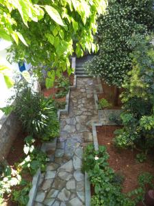 Hotel Andreas - Agistri (Skala) Agistri Greece