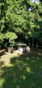 Anonymus Vendégház