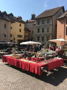 Appartements L'Appart' du 10 - T3 4 downtown Annecy with canal view : photos des chambres