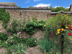 Ferienhaus unterm Schiefen Turm
