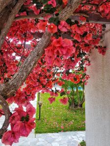 Hotel Kalamitsi Apartments Epirus Greece