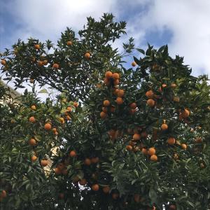 B&B / Chambres d'hotes Chambres d'hotes CASA MUSA - NICE : photos des chambres