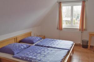 Ferienhaus das Blaue Haus WS-9a