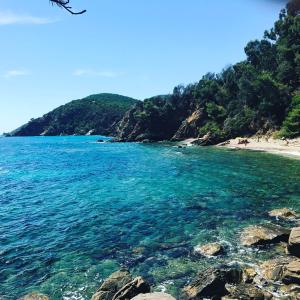 Maisons de vacances Villa proche de St Tropez avec piscine et grand jardin au calme : photos des chambres