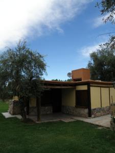 Cabañas Terra Olivo