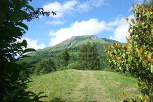 Auberges Gite Montagne et Vie : photos des chambres