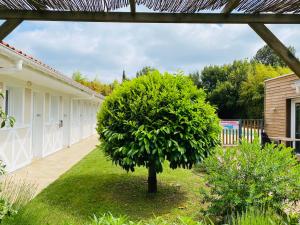 Hotels The Originals City, Hotel Le Lodge, Bayonne Nord : photos des chambres