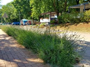 Mobile Homes Banko in Bijela Uvala and Zelena laguna 