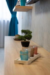 Apartament Sara Mamaia Nord