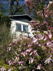 Das Ferienhaus mit Aussicht - Mockethaler Grund