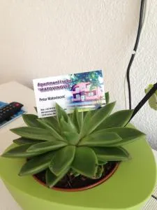 Sobe Matovinović - Udbina