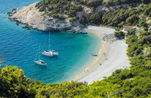 Sweet Cosy Apartment